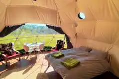 Nature dome interior 