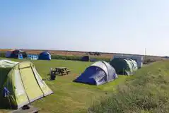 Non Electric Grass Pitches (The Paddock) at Nolton Cross Caravan Park