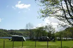 Electric Grass Tent Pitches at Llyn Gwynant Campsite