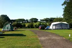 Grass Electric Pitches at Brongwyn Touring Caravan and Camping Park