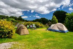 Non Electric Grass Pitches at East Crinnis Holiday Park