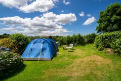 Electric Grass Pitches at East Crinnis Holiday Park