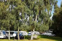 Electric Grass Pitches at Oakmere Caravan Park and Fishery