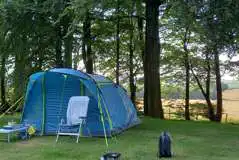 Fully Serviced Grass Pitches at The Larches Caravan Park