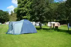 Grass Pitches at Shaw Ghyll Caravan and Camping