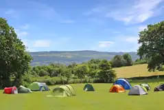 Non Electric Grass Tent Pitches (Field 1) at Barn Farm Campsite
