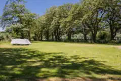 Grass pitches at Walcot Hall Camp Site and Caravan Park