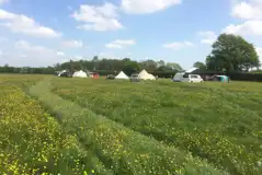 Non Electric Grass Pitches at Boathouse Farm Camping