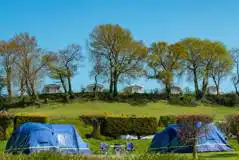 Grass Pitches at Parkers Farm Holiday Park