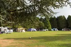 Electric Grass Pitches (Cedar Lawn) at Clippesby Hall
