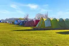 Electric Grass Tent Pitches at New Lodge Farm