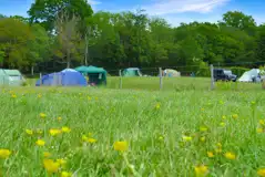 Non Electric Grass Pitches at Hare and Hounds Campsite