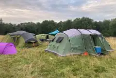 Non Electric Grass Tent Pitches at Wolford Wood