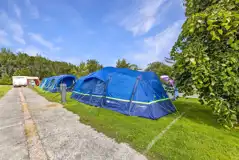 Large Grass Pitches at Woodview Campsite