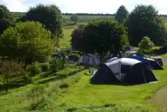 Grass Pitches at Batcombe Vale Campsite