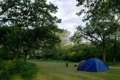 Non Electric Camping Pitches (Pet Free) at Back of Beyond Touring Park