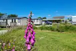 Luxury 3 Bed Caravans (Trevithick and du Maurier) at Looe Country Park