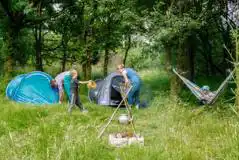 Mystery Woods Camping Pitches at Westdown Farm Wild Camping and Caravanning Certificated Site