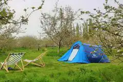 Non Electric Grass Pitches at The Orchard at Fen End Farm
