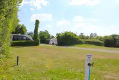 Extra large electric grass pitches