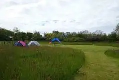 Non Electric Grass Tent and Campervan Pitches at Ffynnonwen