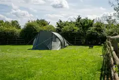 Non Electric Grass Tent Pitches (Adult Only) at Knotlow Farm