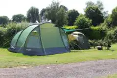 Non Electric Grass Tent Pitches at Cofton Holidays
