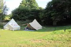 Cherry Tree (Private Family Camping Pitch) at Experience Sussex at Wimbles Farm