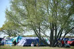Traditional Camping Pitches at Royal Umpire Caravan Park