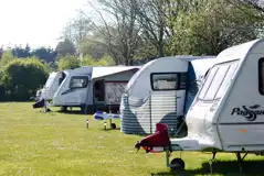Serviced Grass Touring Pitches at Ninham Country Holidays