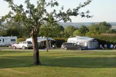 Standard Pitches at Old Oaks Touring Park