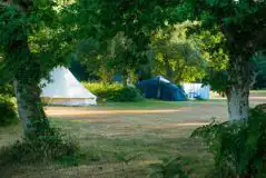 Non Electric Camping Pitches (Pet Friendly) at Back of Beyond Touring Park