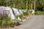 Seasonal pitches
