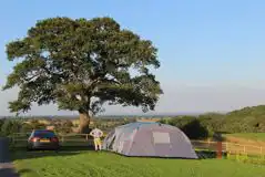 Grass Tent Pitches (Optional Electric) at Marbury Camp and Lodge