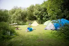 Large Wild Camping Pitches (Family) at Cornish Tipi Holidays