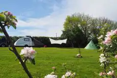 Non Electric Grass Pitches at Harmony Wood Naturist Campsite Certificated Site