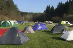 Non Electric Grass Tent Pitches at Kielder Village Camping and Caravan Site