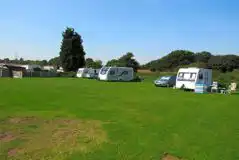Grass Pitches at Tall Trees Touring Park