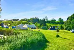 Grass Pitches at Cotswolds Camping at Holycombe