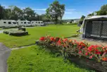 Electric Grass Pitches (Adult Only) at Erwlon Caravan and Camping Park