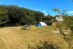 Non electric grass tent pitch (Newgale) Non electric grass tent pitch (Newgale)