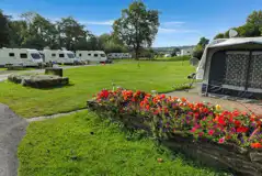 Electric Grass Pitches (Family Friendly) at Erwlon Caravan and Camping Park