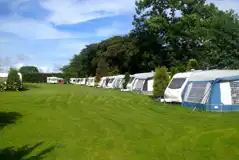 Electric Grass Pitches at Llwyn Ffynnon Caravan Park