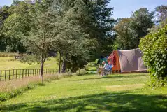 Non Electric Grass Pitches at Heligan Caravan and Camping Park