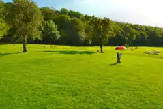 Grass Tent Pitches at Lower Hill Campsite