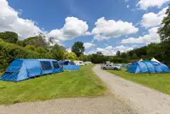 Non Electric Grass Pitches (Lower Willow) at Willow Valley Holiday Park