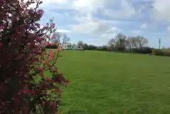 Grass Pitches at Kingsbridge Caravan Park