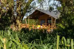 Safari lodge tent Safari lodge tent