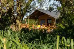 Safari Lodge Tent at Re:treat Glamping