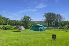 Non Electric Grass Tent Pitch at Huxtable Farm
